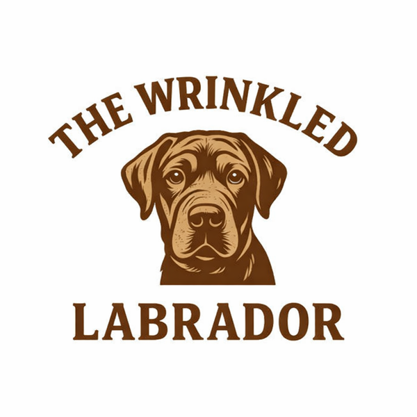 The Wrinkled Labrador